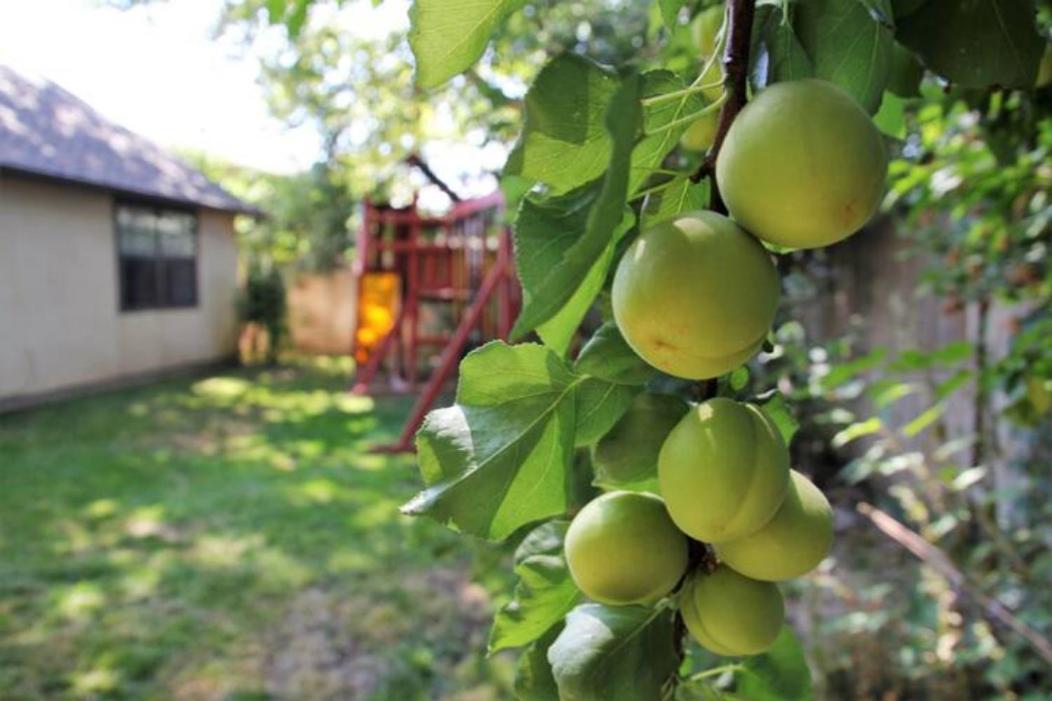 Experience Nirvana With Artwork Collections From Around The Globe Located In Lakewood Neighborhood In Se Boise Next To A Park, Minutes From Bown Crossing And The Boise River, 10 Minutes To Downtown, 4 Beds, Sleeps 8, Pets Welcome In Large Fenced In Y Extérieur photo